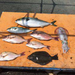 フィッシングパーク錦 釣果