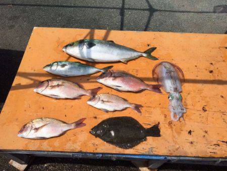 フィッシングパーク錦 釣果