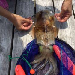 フィッシングパーク錦 釣果