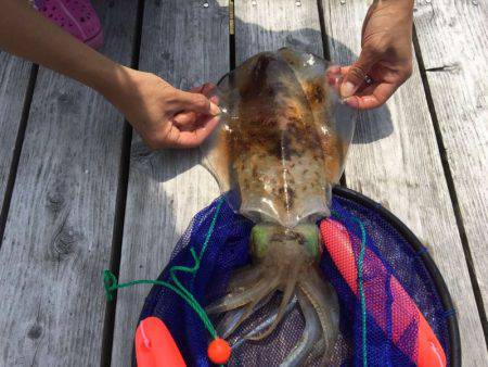 フィッシングパーク錦 釣果