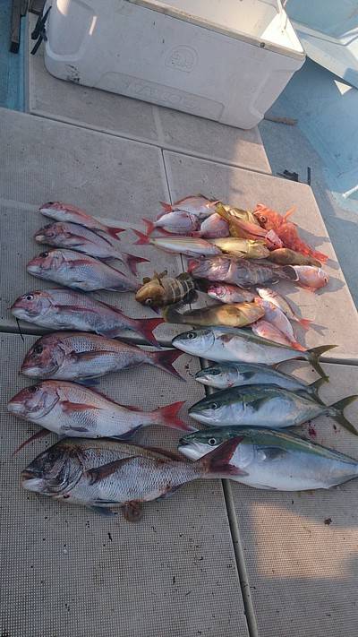 旭星釣りセンター 釣果