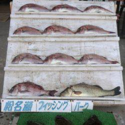 松名瀬フィッシングパーク 釣果