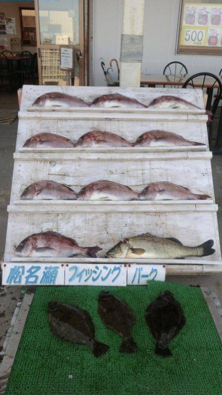 松名瀬フィッシングパーク 釣果