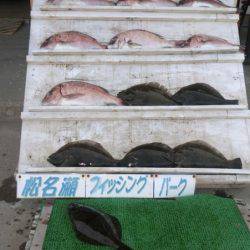 松名瀬フィッシングパーク 釣果