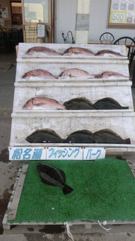 松名瀬フィッシングパーク 釣果