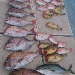 旭星釣りセンター 釣果