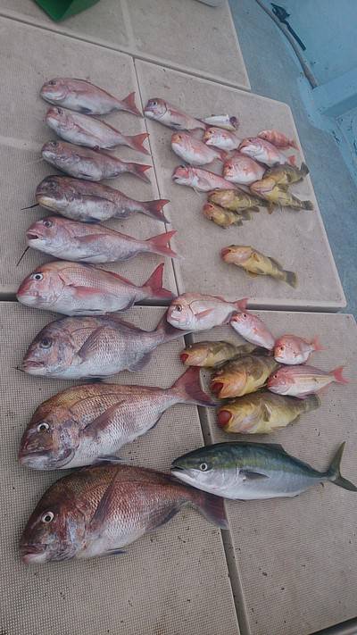 旭星釣りセンター 釣果