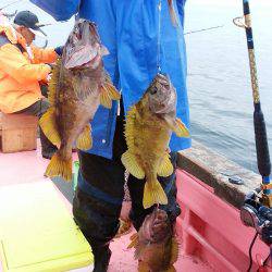 第八平成丸 釣果