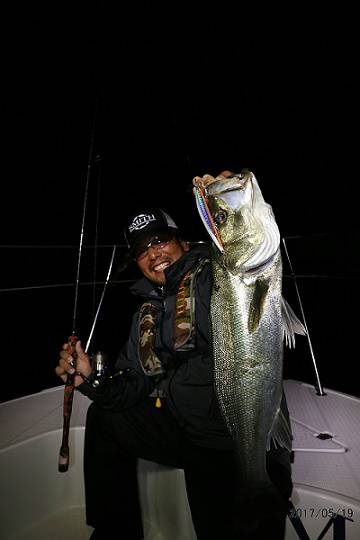 フルコンタクト 釣果