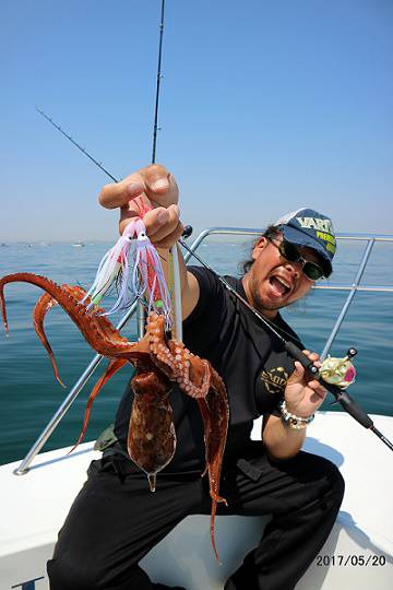 フルコンタクト 釣果