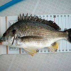 フルコンタクト 釣果