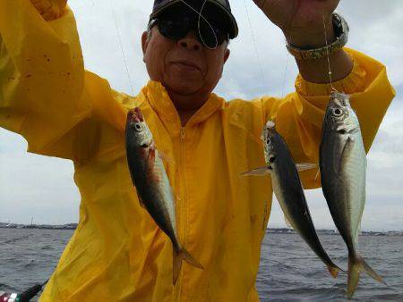 横内丸 釣果