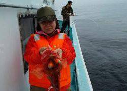 長栄丸(静岡) 釣果