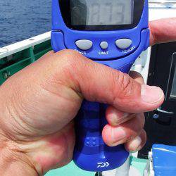 第三むつりょう丸 釣果