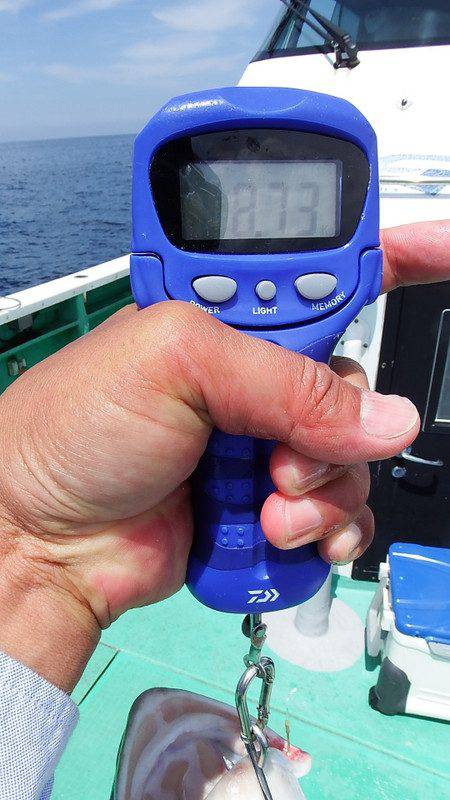 第三むつりょう丸 釣果