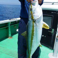 第三むつりょう丸 釣果