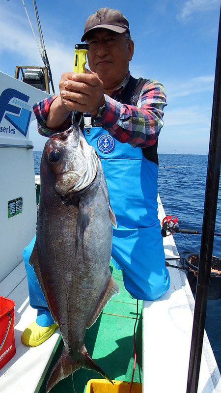 第三むつりょう丸 釣果