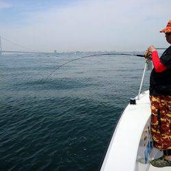 フルコンタクト 釣果