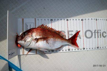 フルコンタクト 釣果