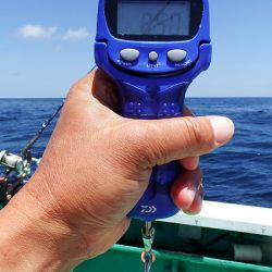 第三むつりょう丸 釣果