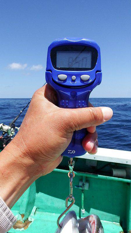 第三むつりょう丸 釣果