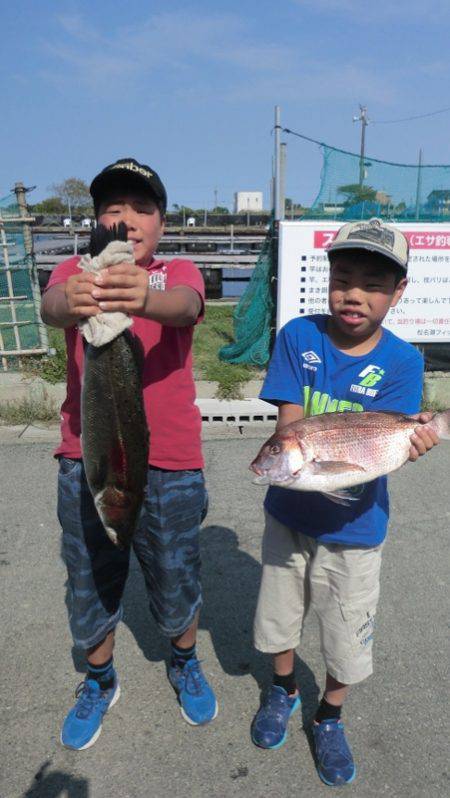 松名瀬フィッシングパーク 釣果