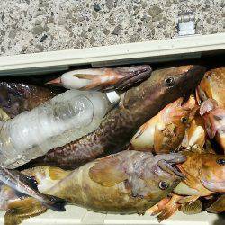 第八平成丸 釣果