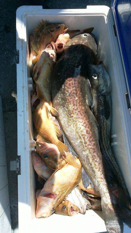 第八平成丸 釣果