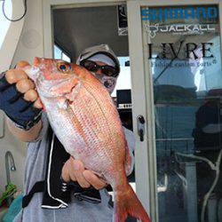 松本釣船２ 釣果