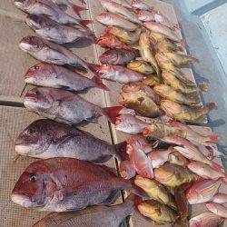 旭星釣りセンター 釣果