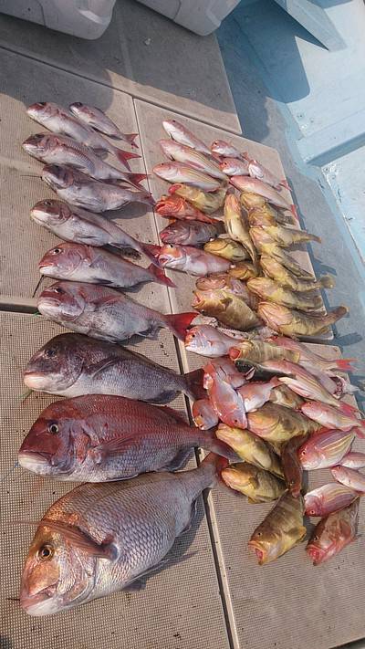 旭星釣りセンター 釣果