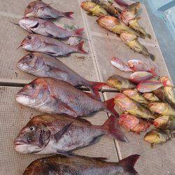 旭星釣りセンター 釣果