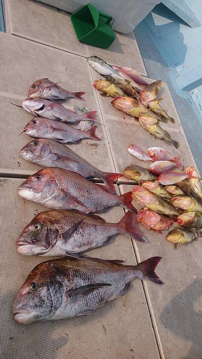 旭星釣りセンター 釣果