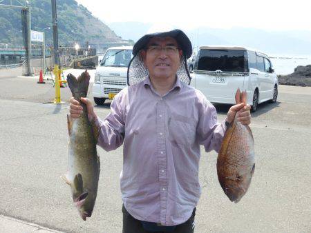 海釣り公園みかた 釣果