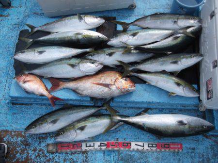 海宝丸 釣果