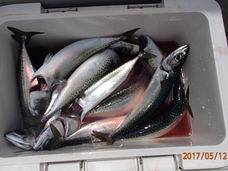七福丸 釣果