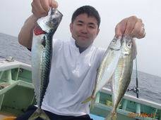 七福丸 釣果