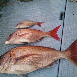 第二常豊丸 釣果