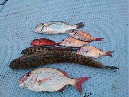 第二常豊丸 釣果