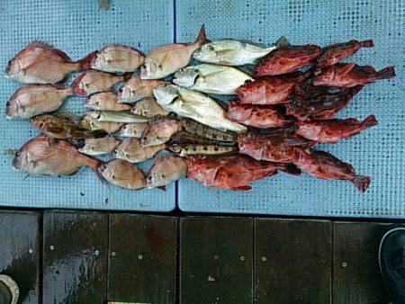第二常豊丸 釣果