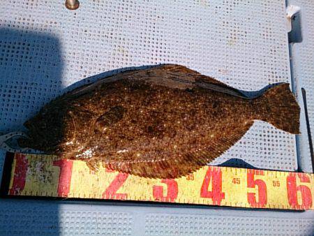 第二常豊丸 釣果