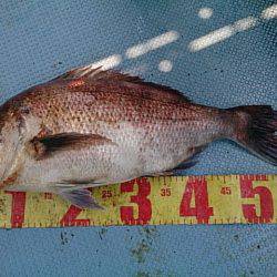 第二常豊丸 釣果