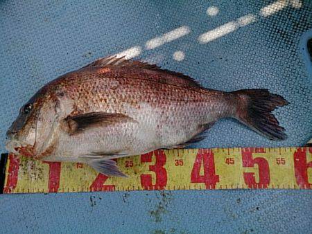 第二常豊丸 釣果