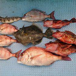 第二常豊丸 釣果