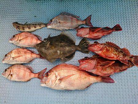 第二常豊丸 釣果