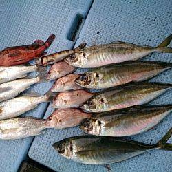 第二常豊丸 釣果