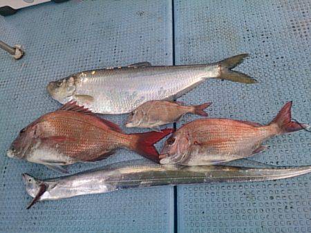 第二常豊丸 釣果