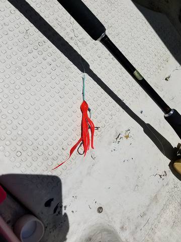 遊漁船 ニライカナイ 釣果