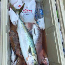 龍宮丸 釣果