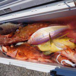 第二一之紀丸（ダイニイチノキマル） 釣果